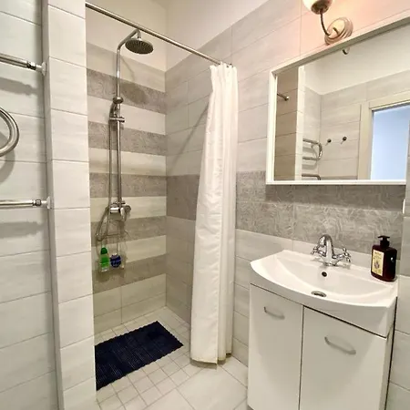 Grey Apartment Klaipeda