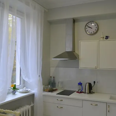 Grey Apartment Klaipeda